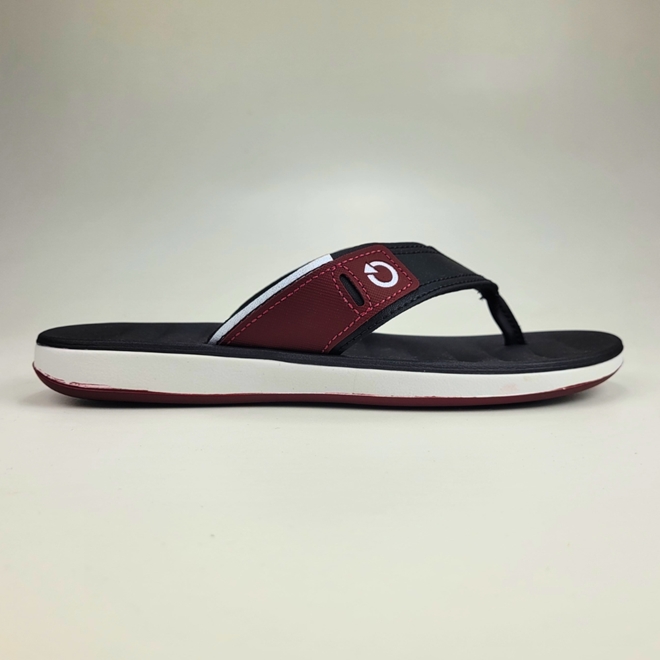 Chinelo cartago 2024 adulto