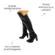 Bota Beira Rio Over The Knee Cano Longo Preto Feminina