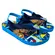 Chinelo Ipanema Patrulha Canina Friends Azul/Amarelo Menino